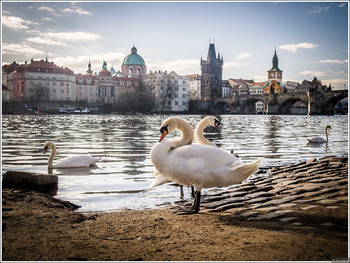 Карта туриста появится в Праге в будущем году - «Новости туризма»