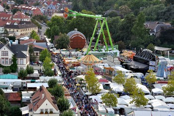 В Германии пройдёт крупнейший Фестиваль вина - «Новости туризма»