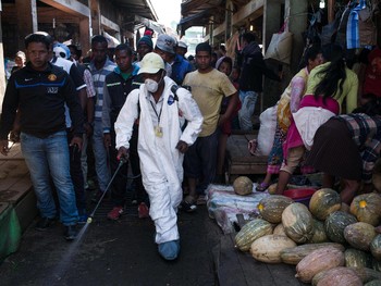 Туристов предупреждают о вспышке чумы на Мадагаскаре - «Новости туризма»