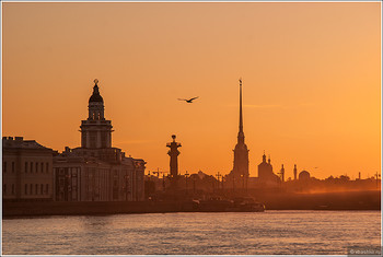 Петербург назван одним из самых романтичных мест мира - «Новости туризма»
