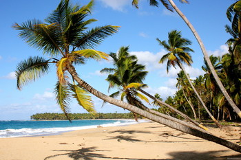 В зимнем сезоне рейсов в Доминикану станет больше - «Новости туризма»