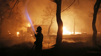 Власти Греции: причиной пожаров в стране могли быть поджоги - «Новости туризма»