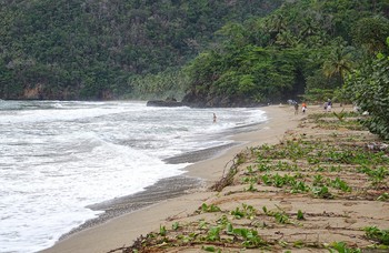 К берегам Доминиканы прибило тонны мусора (видео) - «Новости туризма»