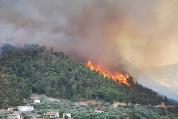 Лесные пожары в Греции: погибли около 50 человек - «Новости туризма»
