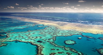 В Австралии для спасения Большого Барьерного рифа будут стрелять солью в небо - «Новости туризма»