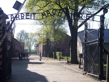Венгерские туристы пытались украсть камни из концлагеря Освенцим - «Новости туризма»