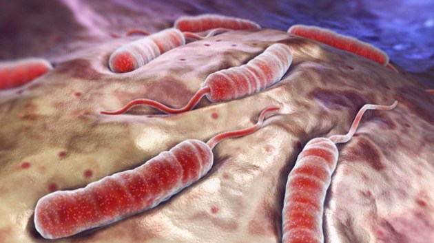 Роспотребнадзор предупредил туристов о вспышке холеры в 26-ти странах - «Новости»
