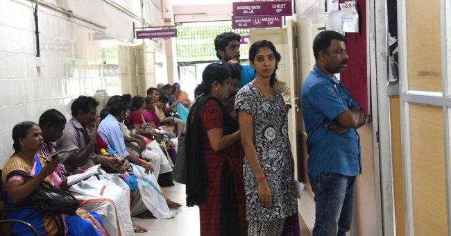 Роспотребнадзор предупредил туристов о вспышке лептоспироза в Керале - «Новости»