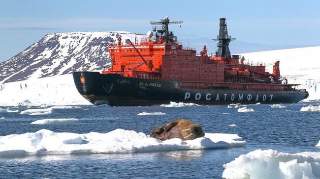 В России предложили упростить порядок захода иностранных туристических судов в Арктику - «Туризм»