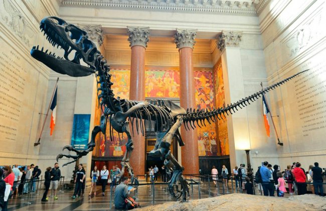 Музеи по всей территории США станут бесплатными - «Лента туристических новостей»