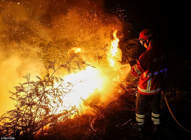 Туроператоры: лесные пожары в Португалии российских туристов не испугали, отказов нет - «Новости»