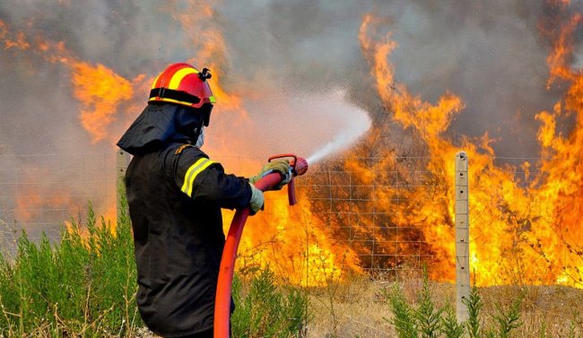На пожарах в Греции погибло более 60 человек - «Новости Туризма»