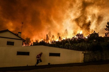 В окрестностях Лиссабона бушует сильный лесной пожар - «Новости туризма»