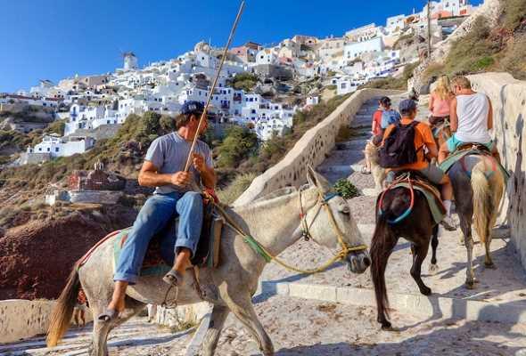 Власти Греции запретили некоторым туристам кататься на ослах - «Лента туристических новостей»