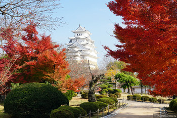 В Киото ввели туристический налог - «Новости туризма»