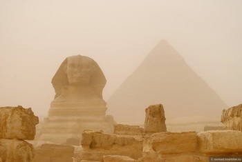Президент Египта уверен в скором восстановлении чартерного сообщения между РФ и курортами - «Новости туризма»