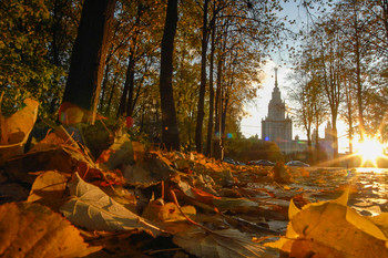 В Москве установлен температурный рекорд за 140 лет - «Новости туризма»