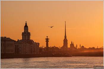 Санкт-Петербург стал лучшим городом в России для «умного» туризма - «Новости туризма»