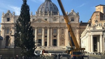 В Ватикане установили рождественскую ель - «Новости туризма»
