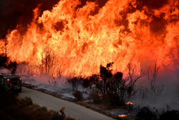 В Калифорнии потушили крупнейший лесной пожар в истории - «Новости туризма»