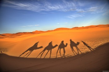 С начала года турпоток в Марокко вырос - «Новости туризма»