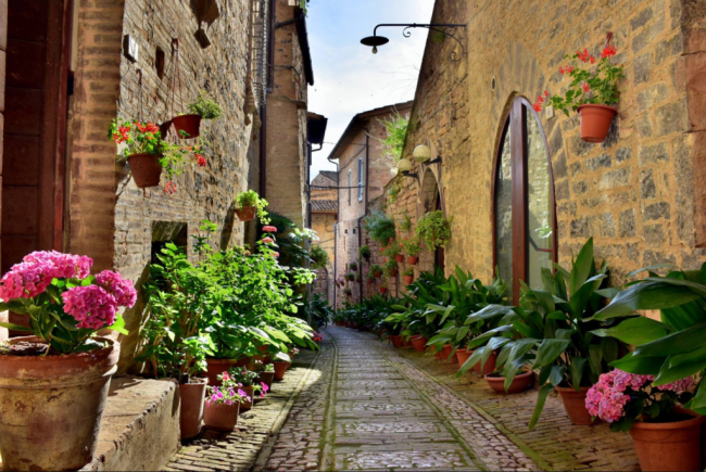 В сети появились красочные фото цветочного города Италии - «ИТАЛИЯ»
