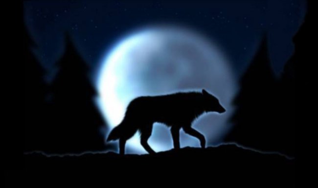 Час между волком и собакой - «Аномалии»
