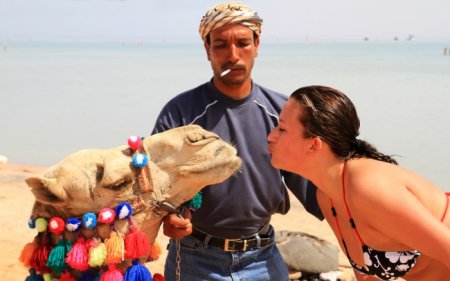 Туроператор предложил новогодний отдых в Египте - «Новости Туризма»