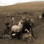 Скотовод в Монголии - «История древнего мира»