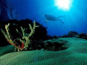 Исследования морского дна - «История науки»