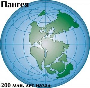 Когда образовались континенты? - «История науки»