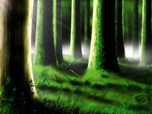 Как образуется лес - «История науки»