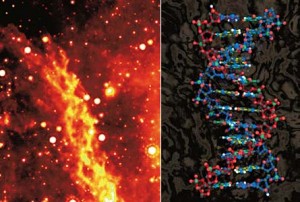 Кто открыл ДНК - «История науки»