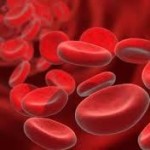 Что придает крови красный цвет - «История науки»
