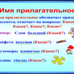 Надлежащие прилагательные - «История обо всем на свете»