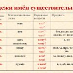 Формы составных существительных - «История обо всем на свете»
