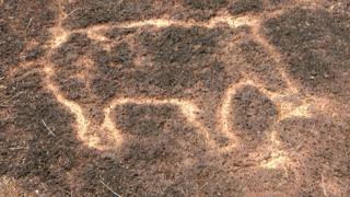 В Индии найдены древние петроглифы неизвестной культуры с изображениями … африканских животных (10 фото) - «Загадочные Сооружения»