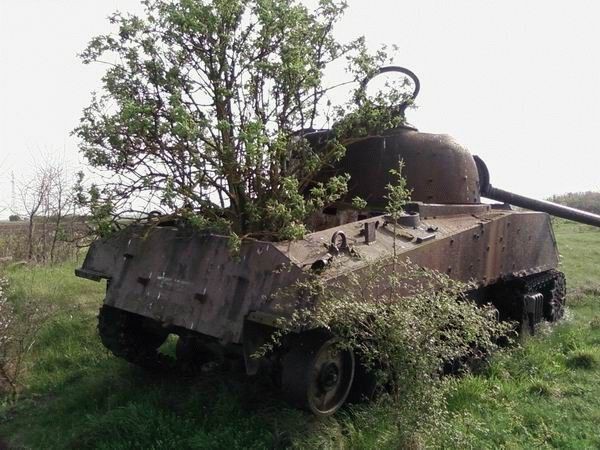 Военная техника, проглоченная дикой природой (31 фото) - «Гиблые зоны»