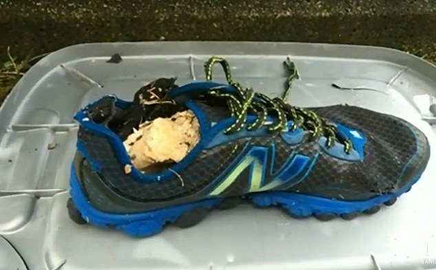 В Канаде на «пляж отрубленных ног» выбросило очередную ногу в кроссовке (5 фото) - «Гиблые зоны»