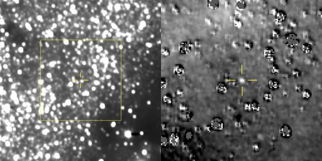 Космический зонд «Новые горизонты» получил первую фотографию своей новой цели - «Тайны Космоса»