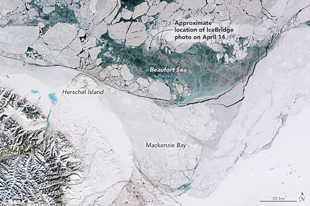Самый толстый лед Арктики начал впервые в истории наблюдений крошиться и разваливаться на куски (4 фото) - «Катаклизмы»