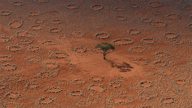 Ведьмины кольца: откуда круги в пустыне Намиб (6 фото) - «Загадочные Сооружения»