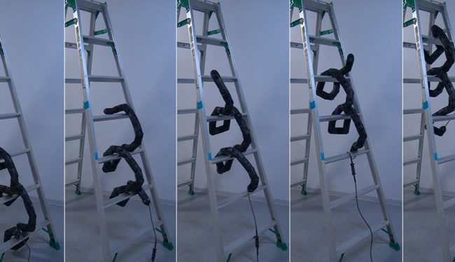 Робот-змея научился взбираться по лестнице (+видео) - «Новые технологии»