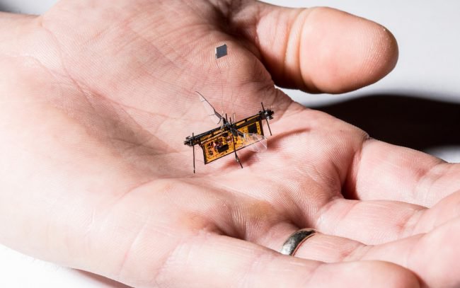 Робот-муха, которая получает энергию без проводов (2 фото + видео) - «Новые технологии»