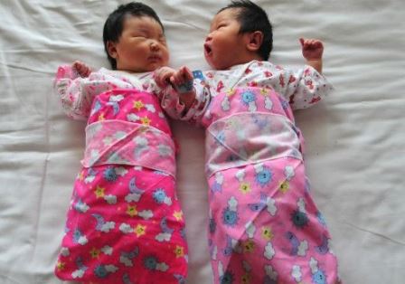 Китайцы заявили о готовности клонировать людей - «Клонирование»