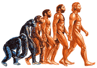 Собратья по эволюции – живые модели - «Клонирование»