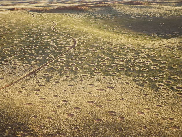 Ведьмины кольца: откуда круги в пустыне Намиб (6 фото) - «Плато Наска»