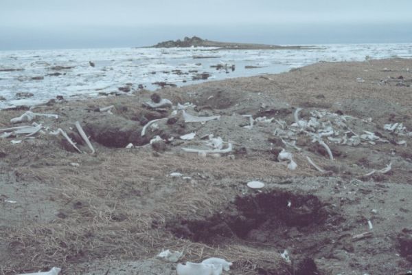 Кладбище Берингова моря (3 фото) - «Гиблые зоны»