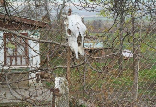 Украинец увешал двор черепами животных от сглаза - «Гиблые зоны»
