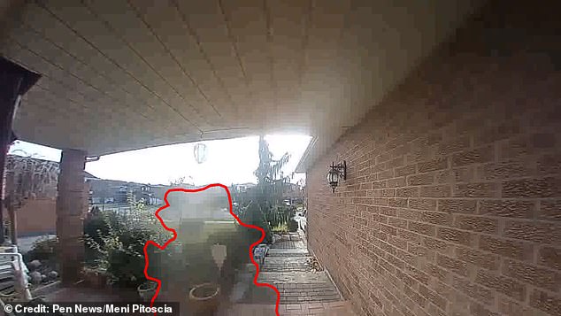 Звонивший в дверь полупрозрачный призрак попал на камеру видеонаблюдения (3 фото + видео) - «Призраки»